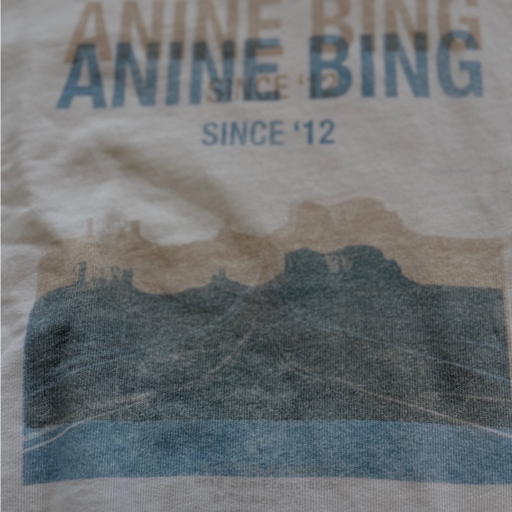 Anine Bing Arlo Desert Road Sweatshirt - Picture 5 of 8